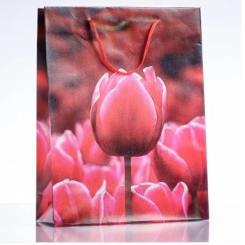 Разпродажба! Подаръчна торбичка 18×24 см (материал ПЕ)
